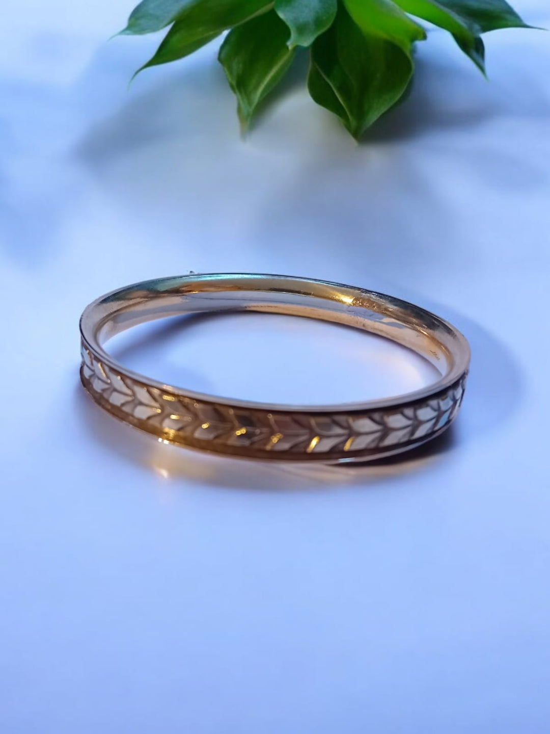 Bohotusk Feather Design Brass Bangle Bracelet